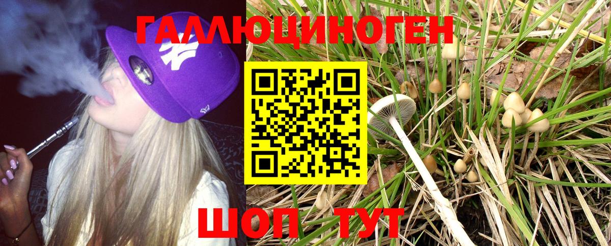 Борисоглебск  Псилоцибиновые грибы GOLDEN TEACHER  Вход с VPN 