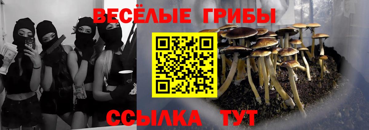 Псилоцибиновые грибы Cubensis Борисоглебск